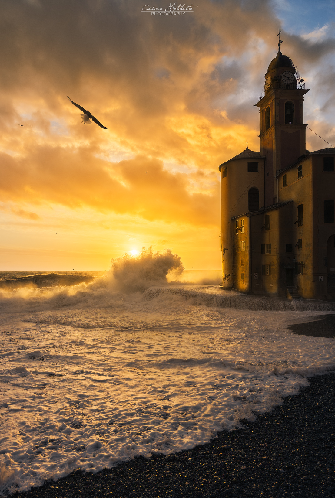 The wave, the sun, the church and the seagull
