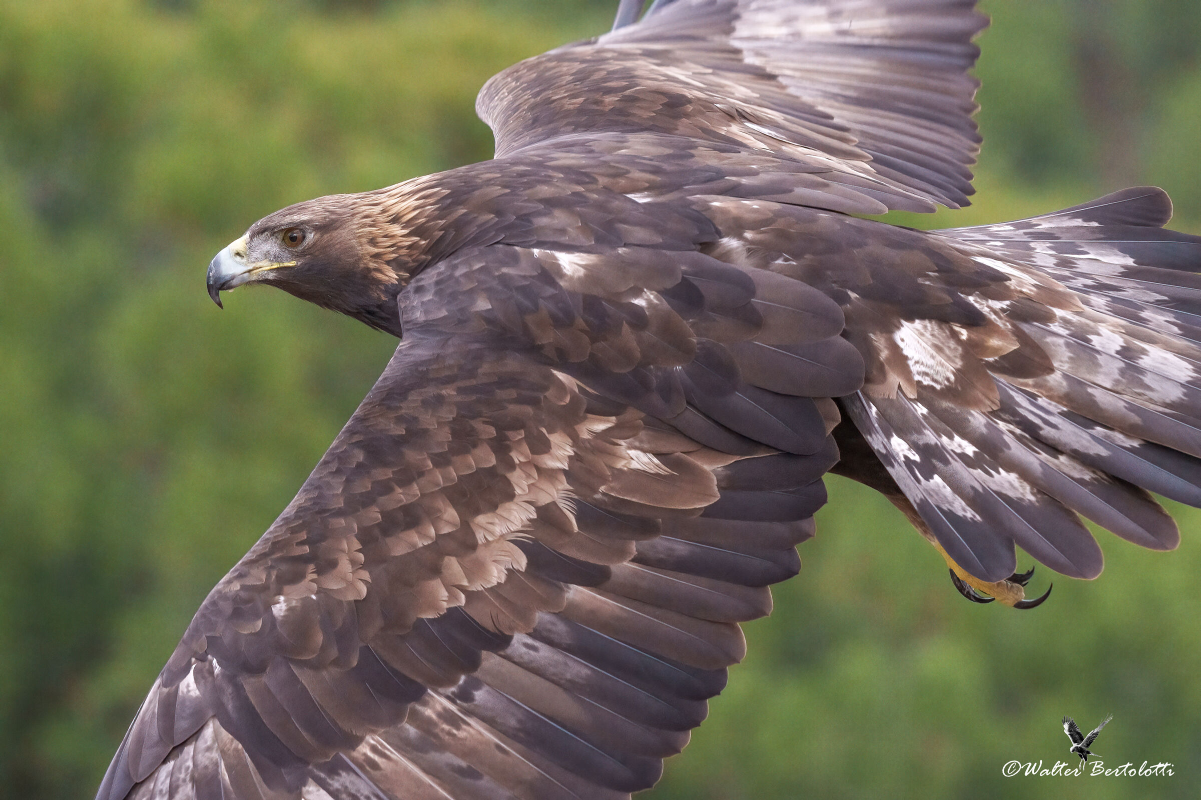 passaggio ravvicinato