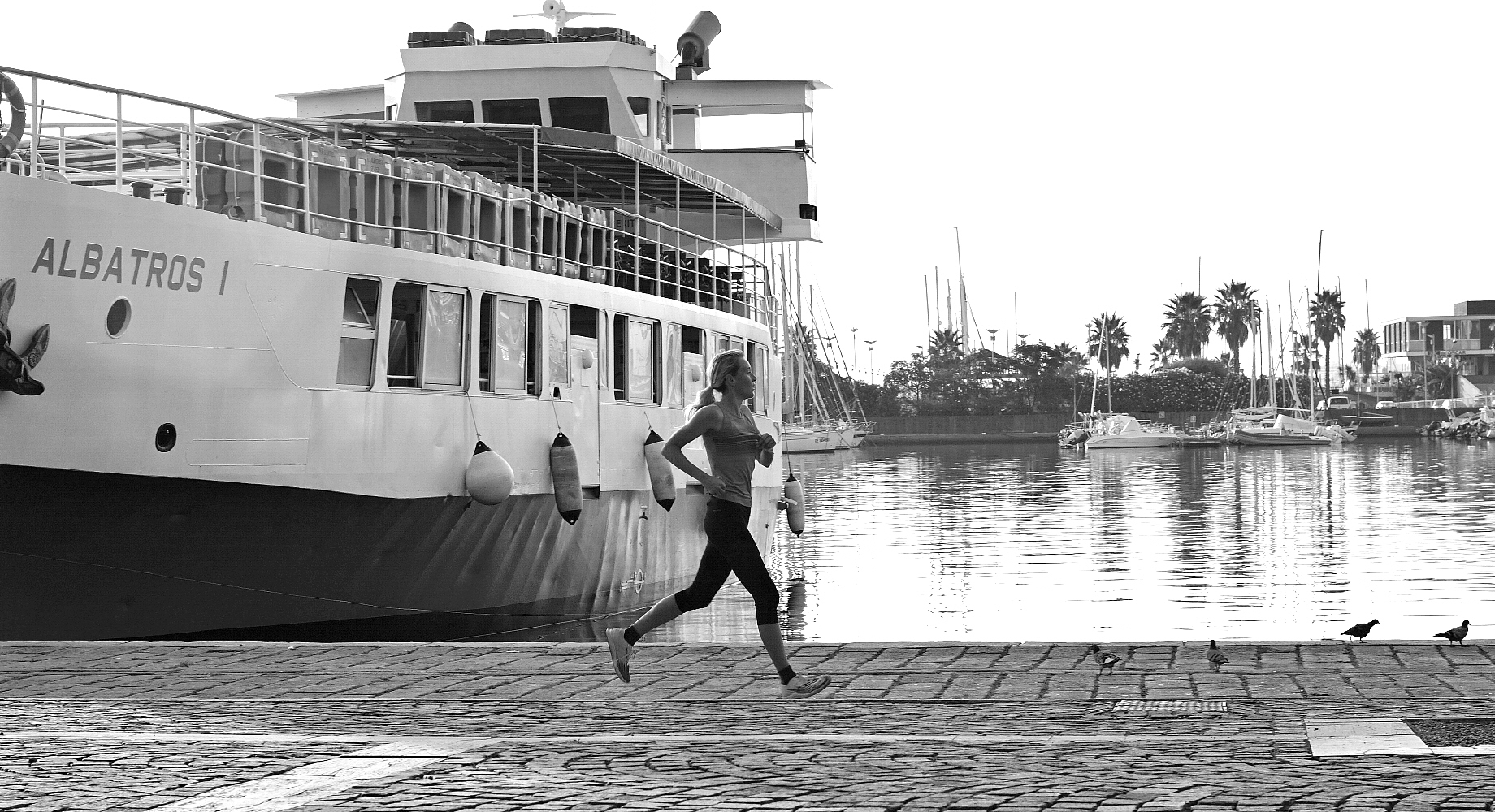 In volo come l'albatros!