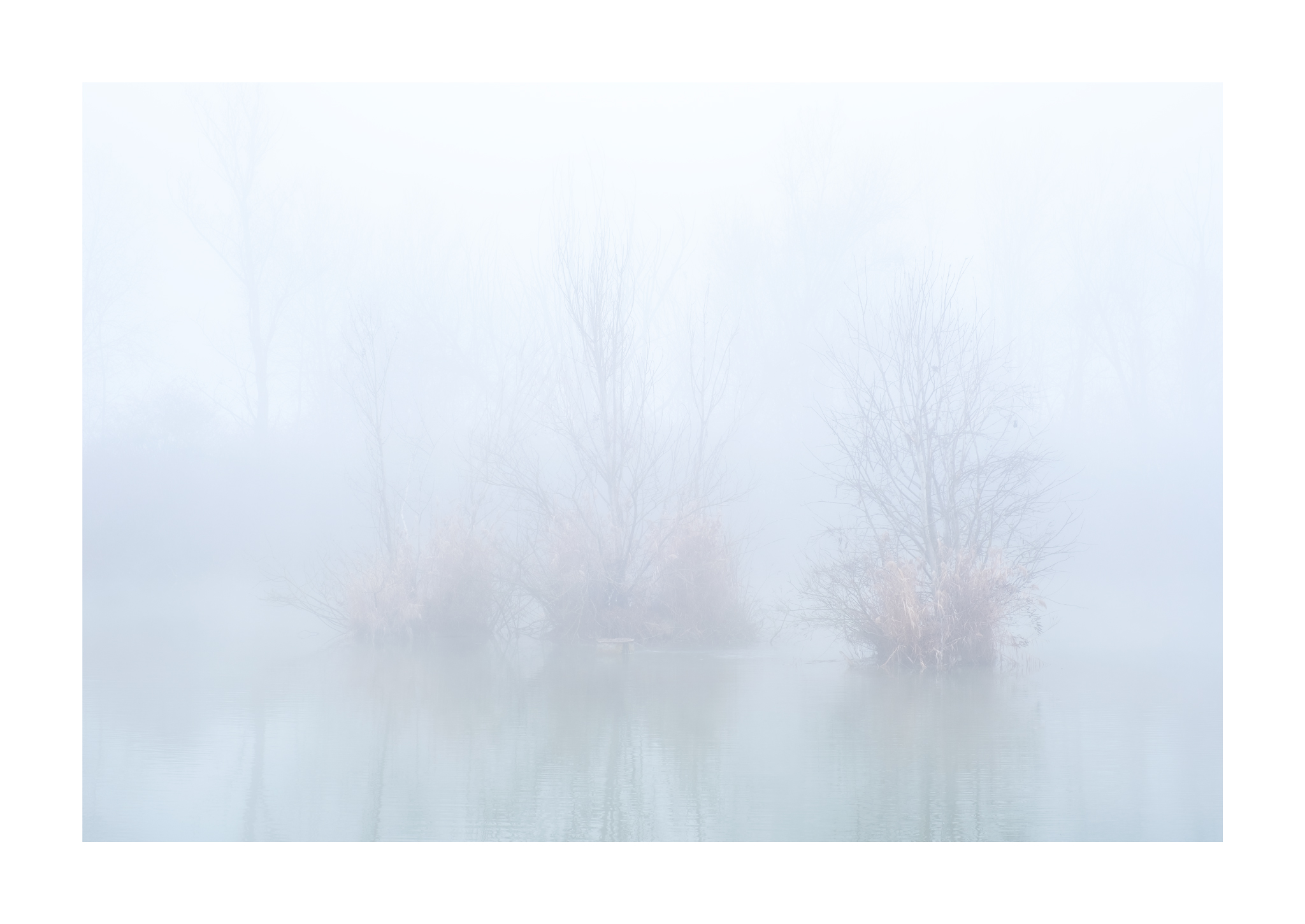Untitled Photo