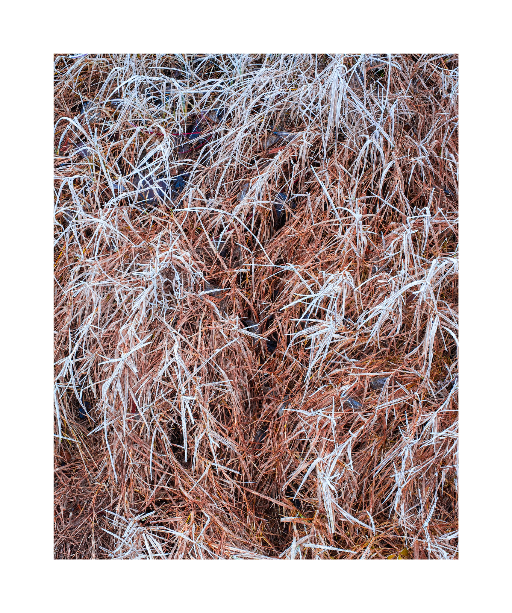 Untitled Photo