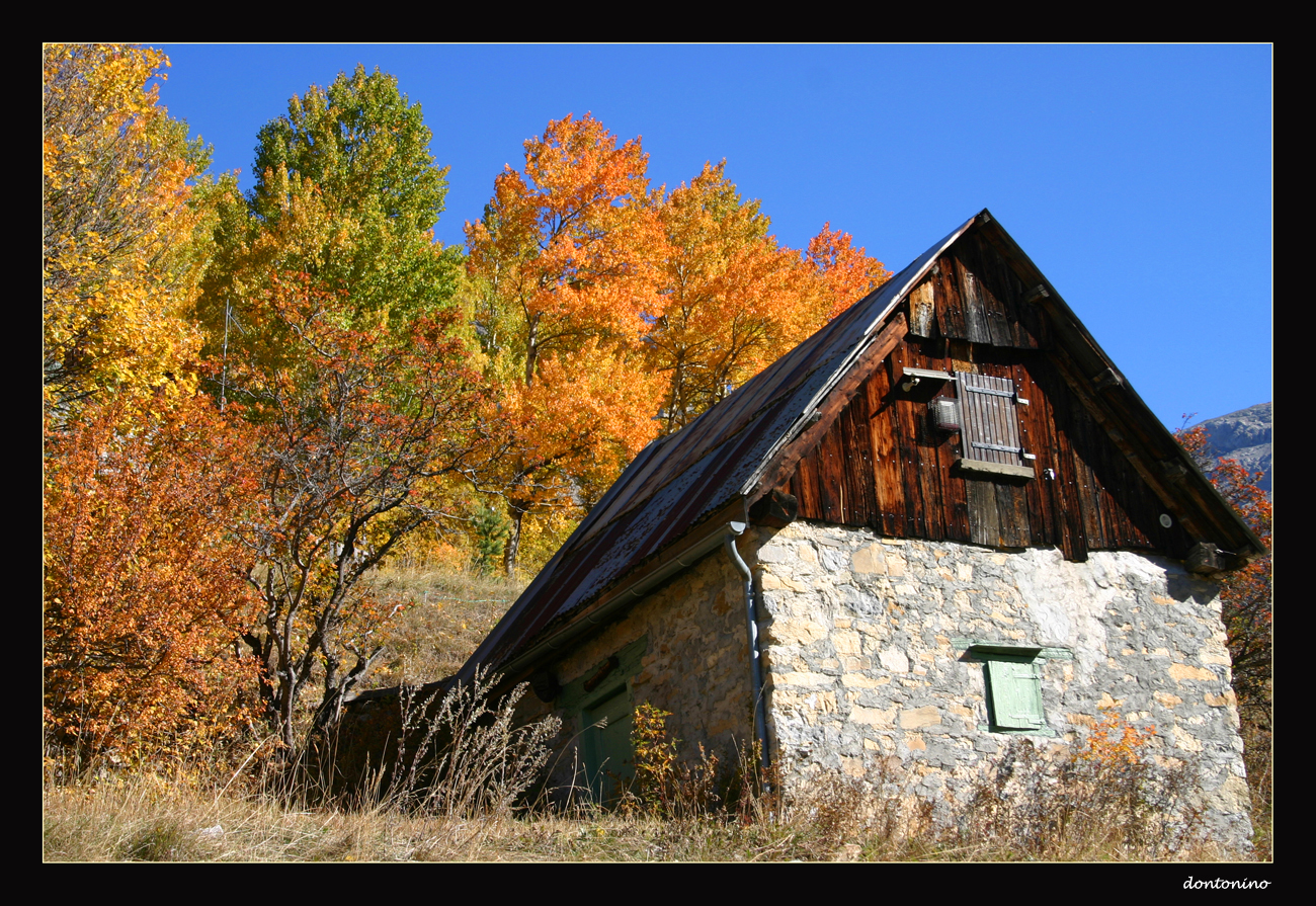 i colori dell'autunno