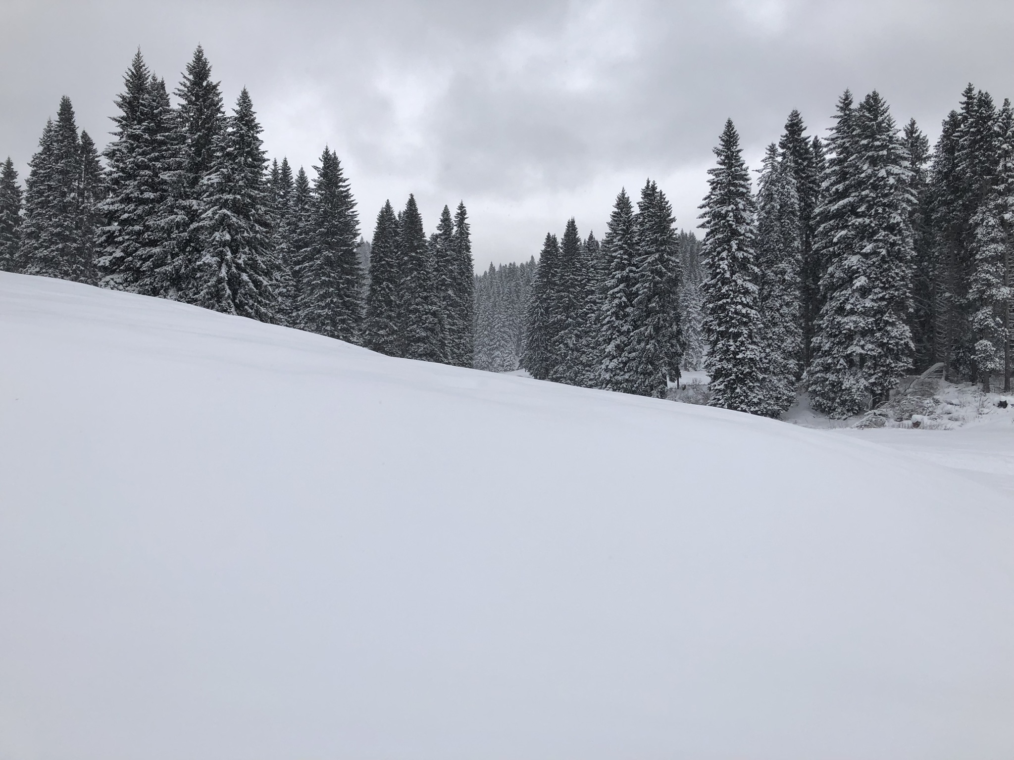 Untitled Photo