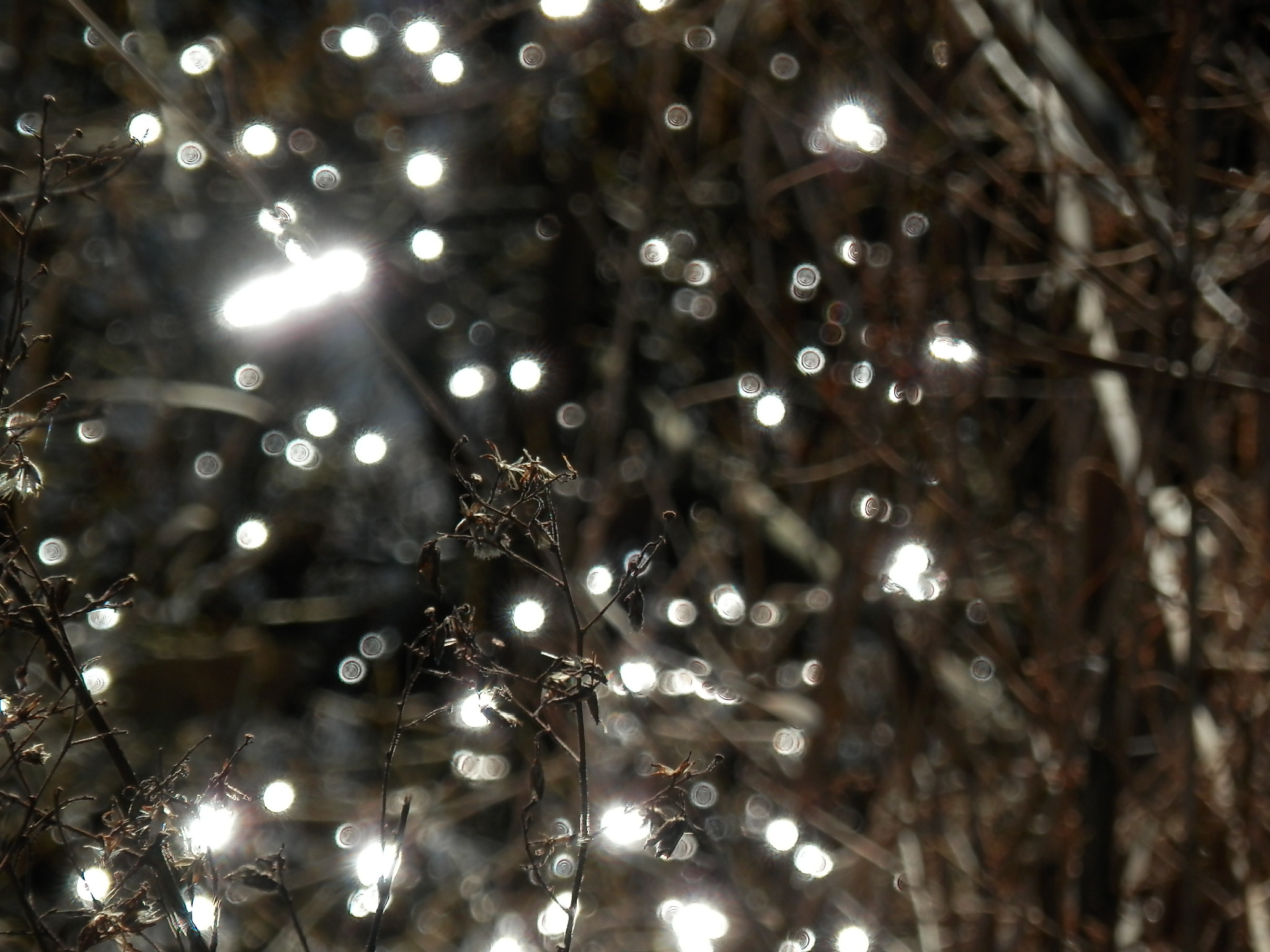littlelights