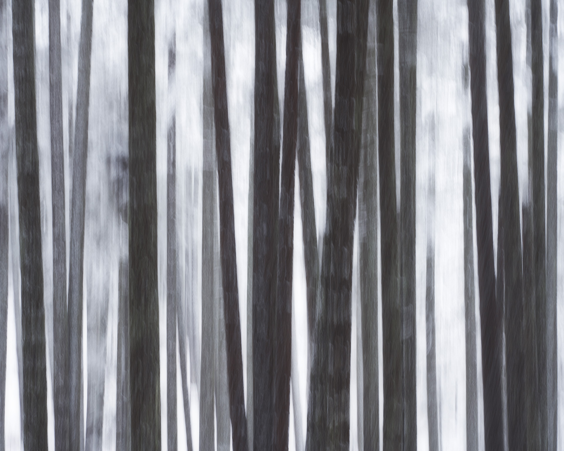 Paranormal experience