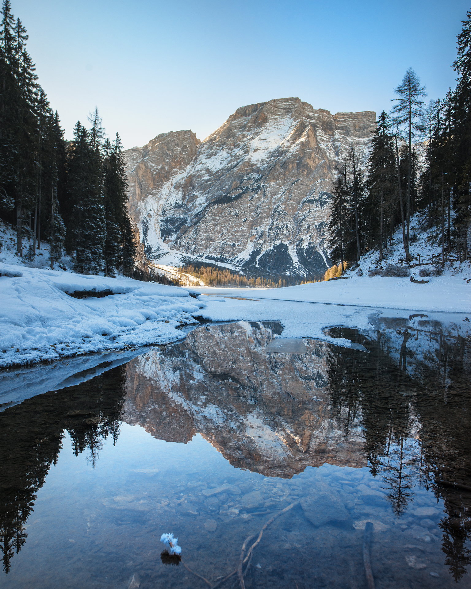 La morsa del ghiaccio