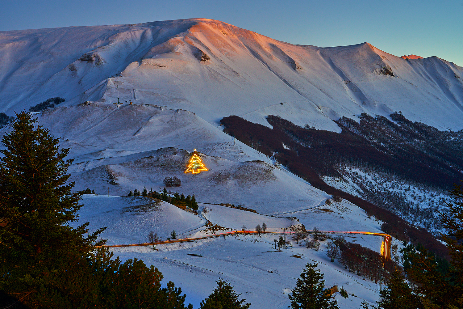 L'albero più suggestivo