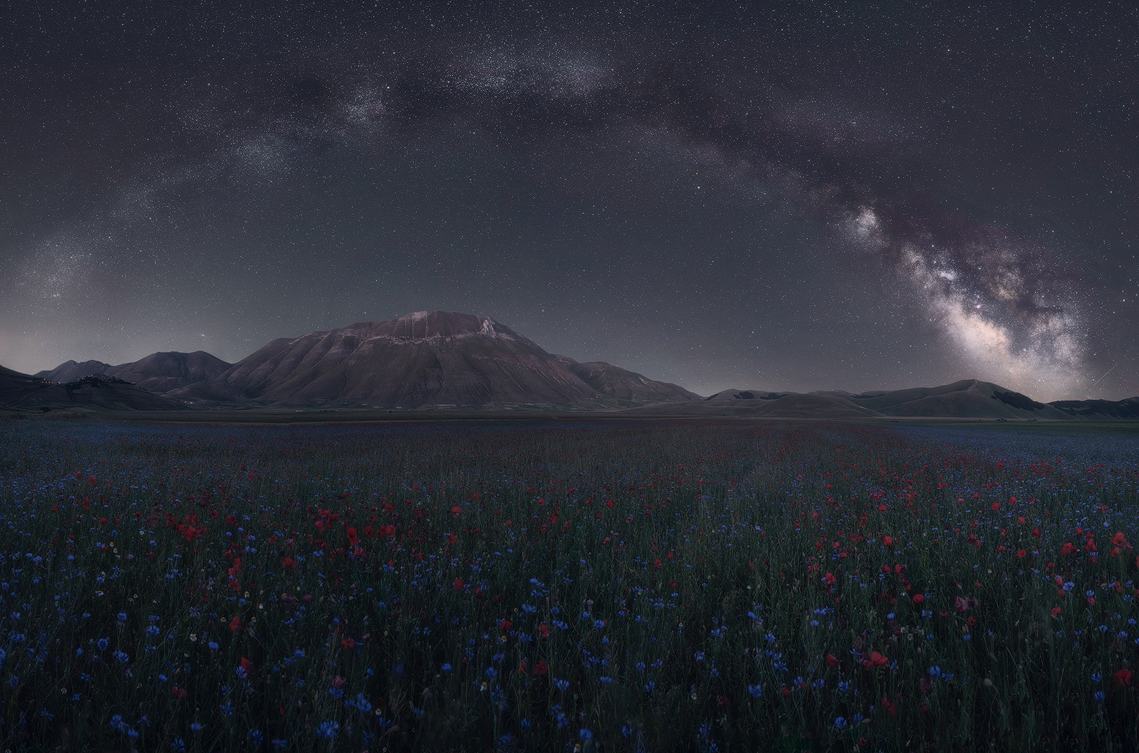 Panoramica nel pian grande di Castelluccio