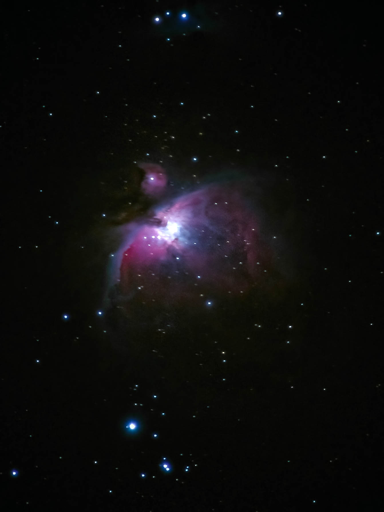 Orion