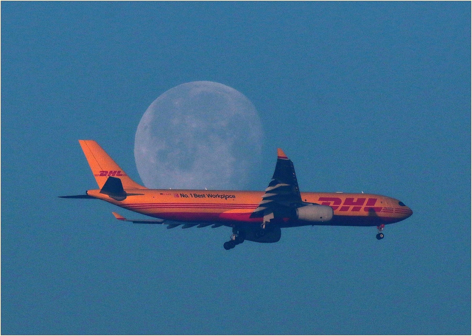 '' Lunatics,,, the postaaa arrives '''