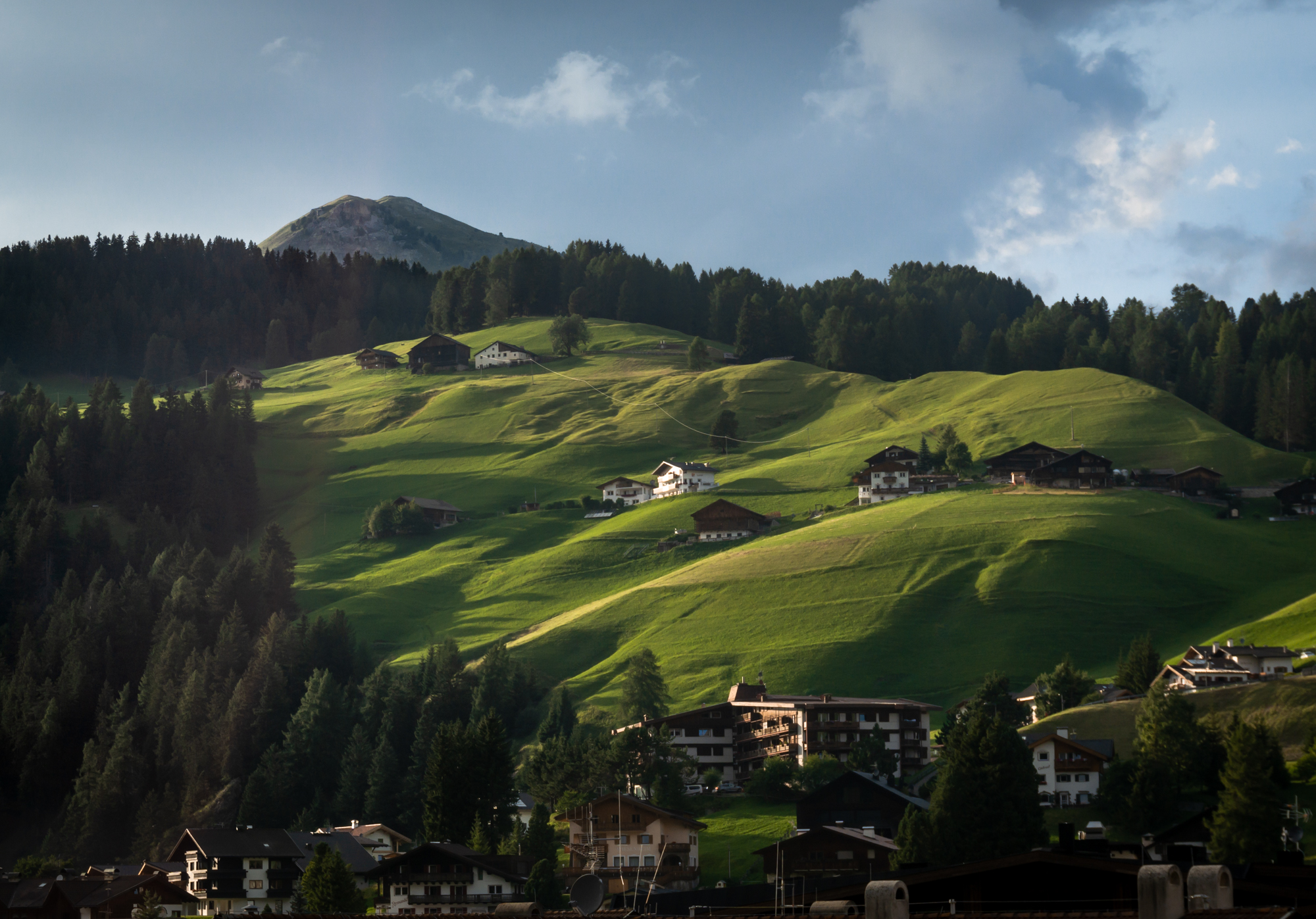 "Hills" Gardenesi