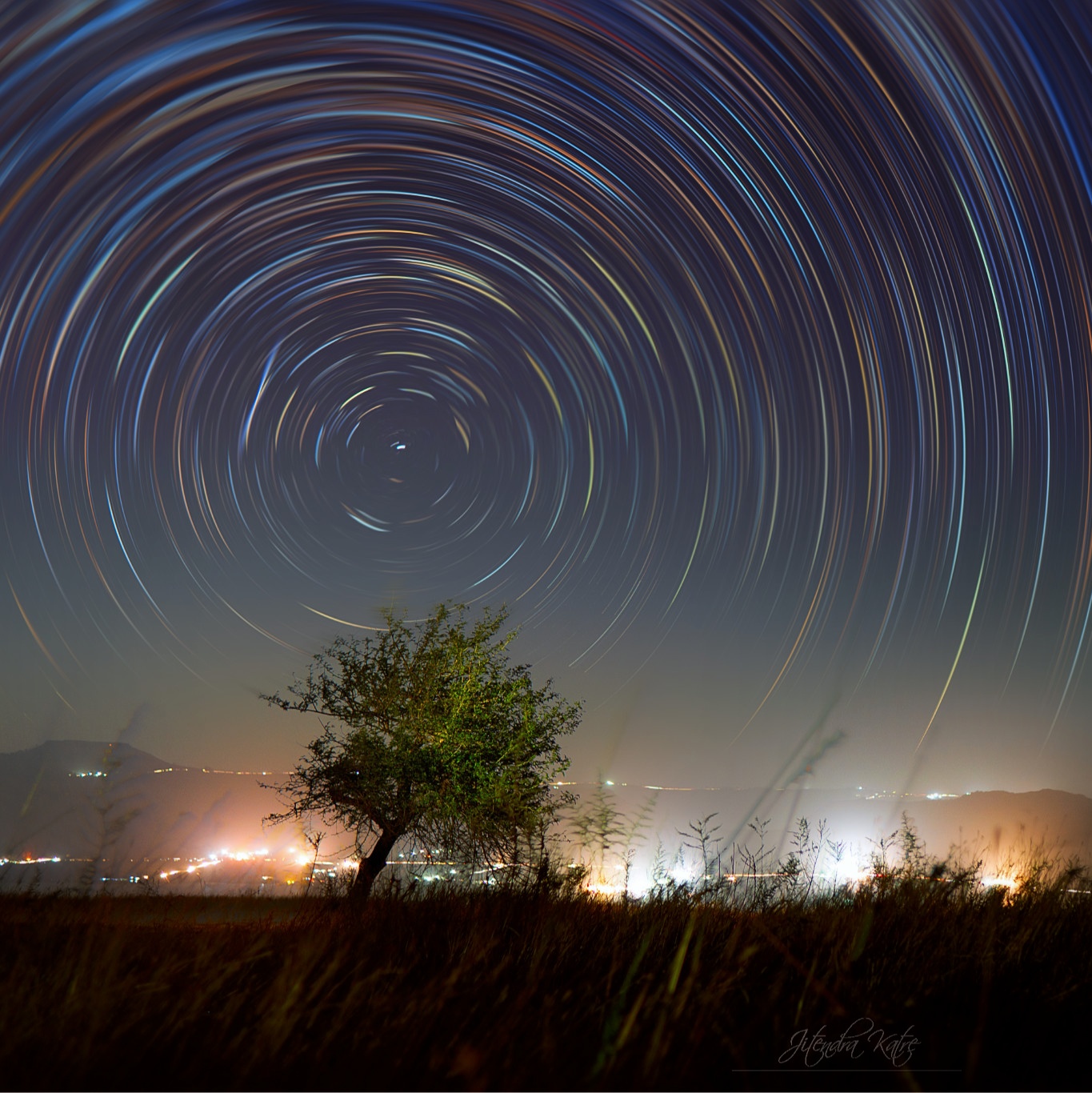 Startrails e un albero