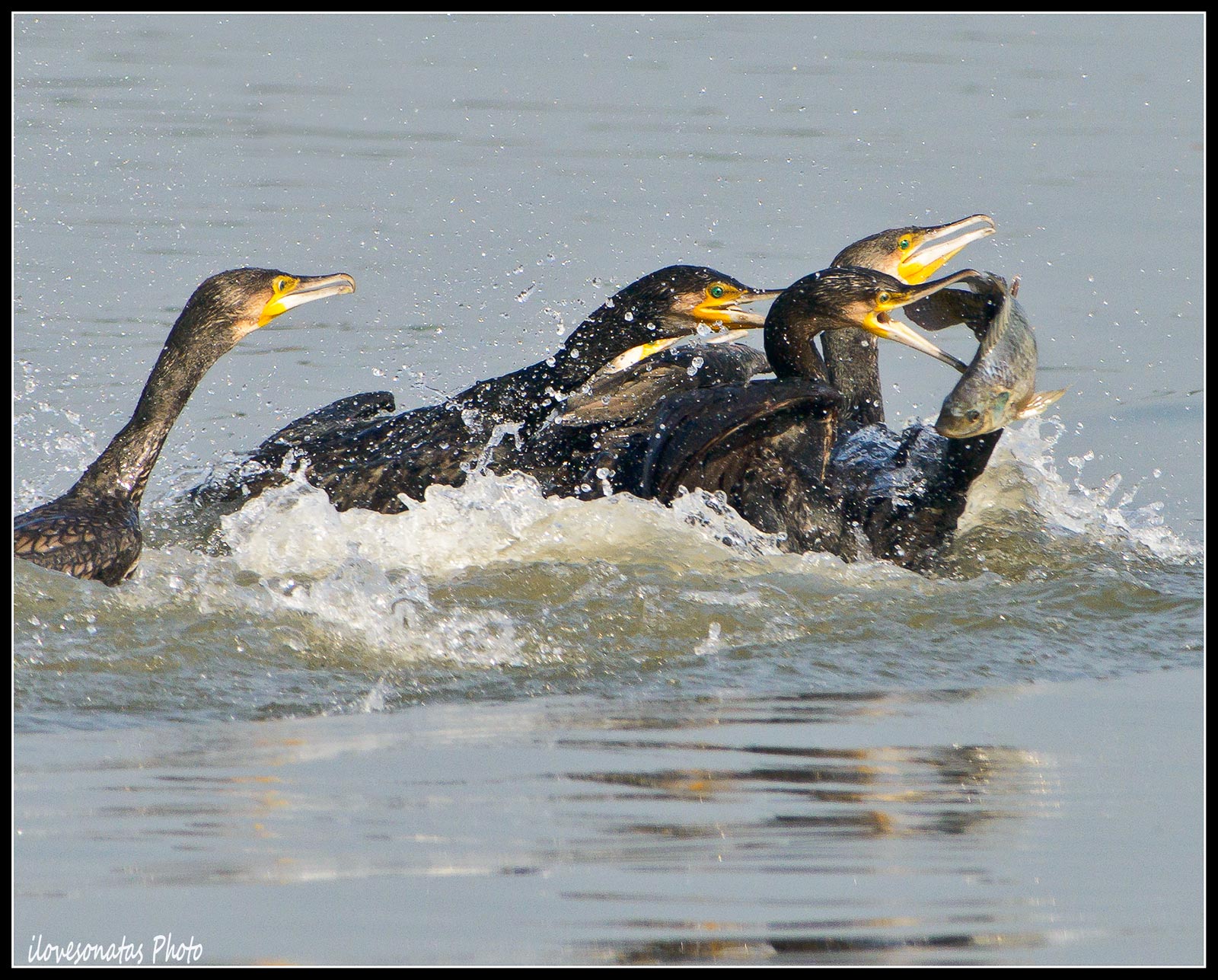 Quale vincere il trucco?