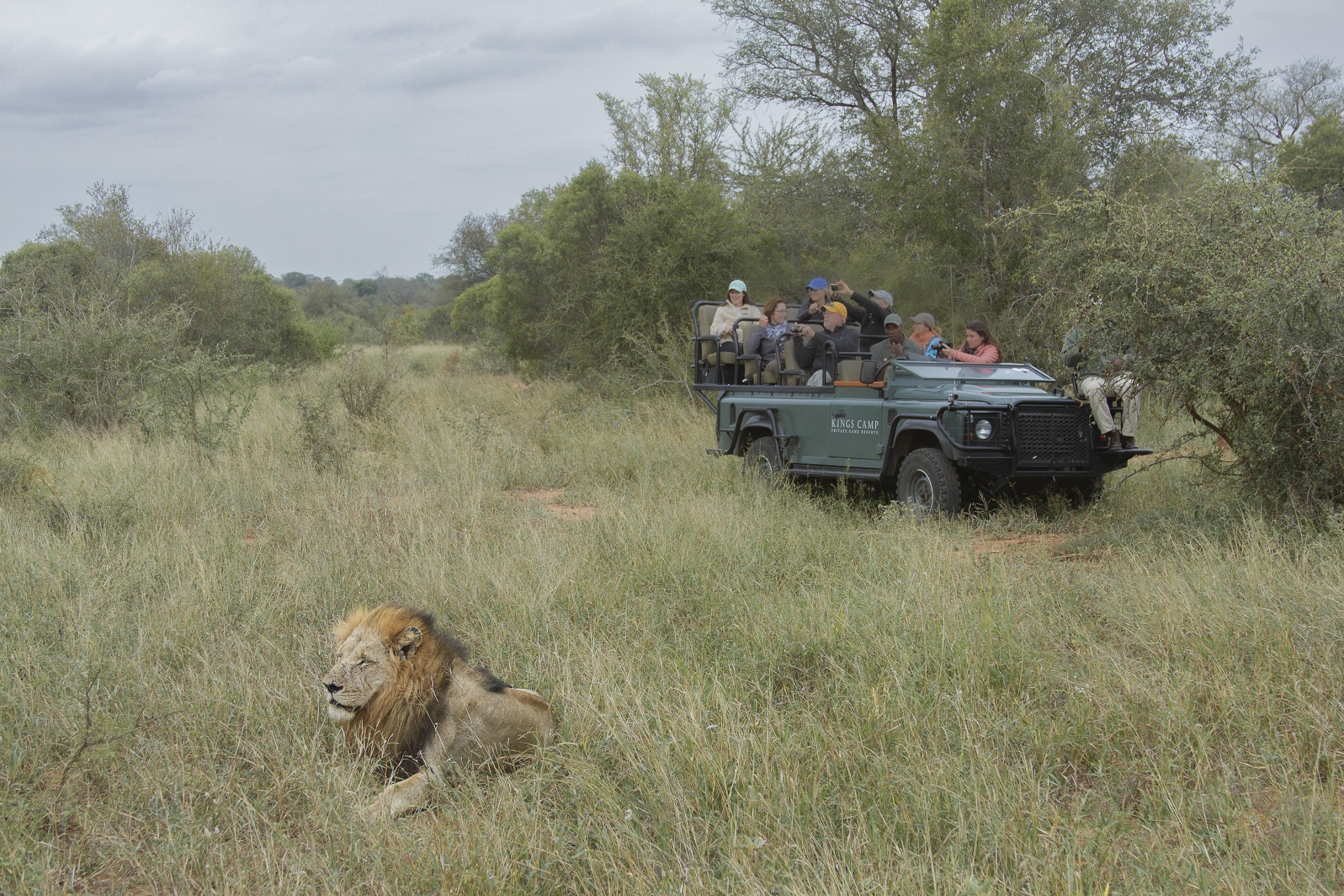 Il Re della... indiffererenza...