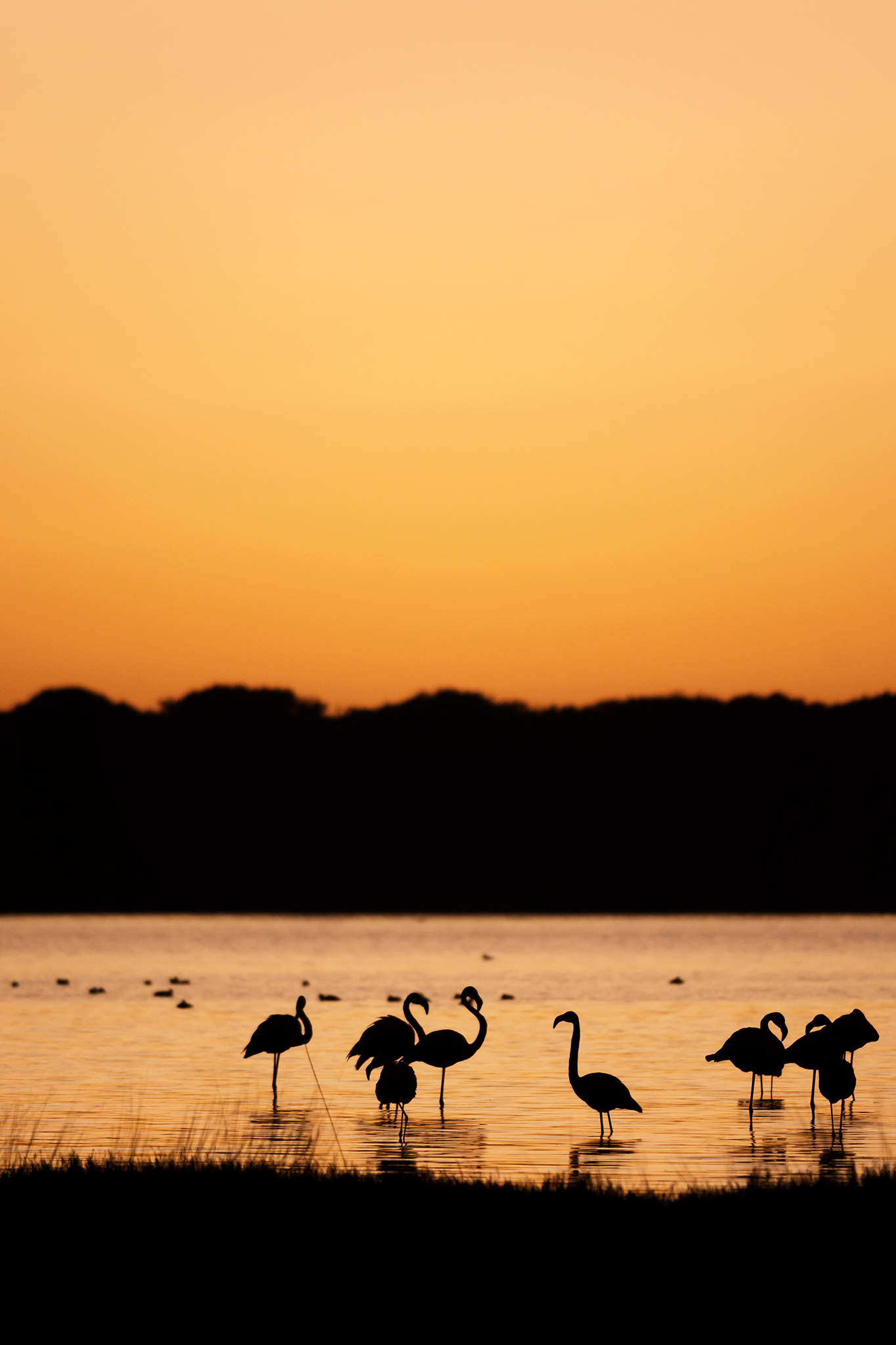 The beauty of nature