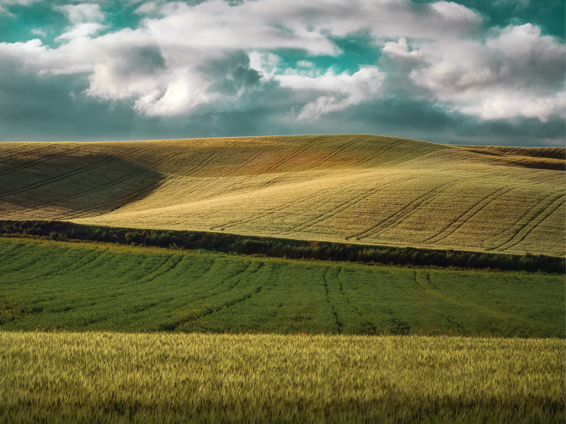 Farnesiana Land ( Tarquinia  Vt )
