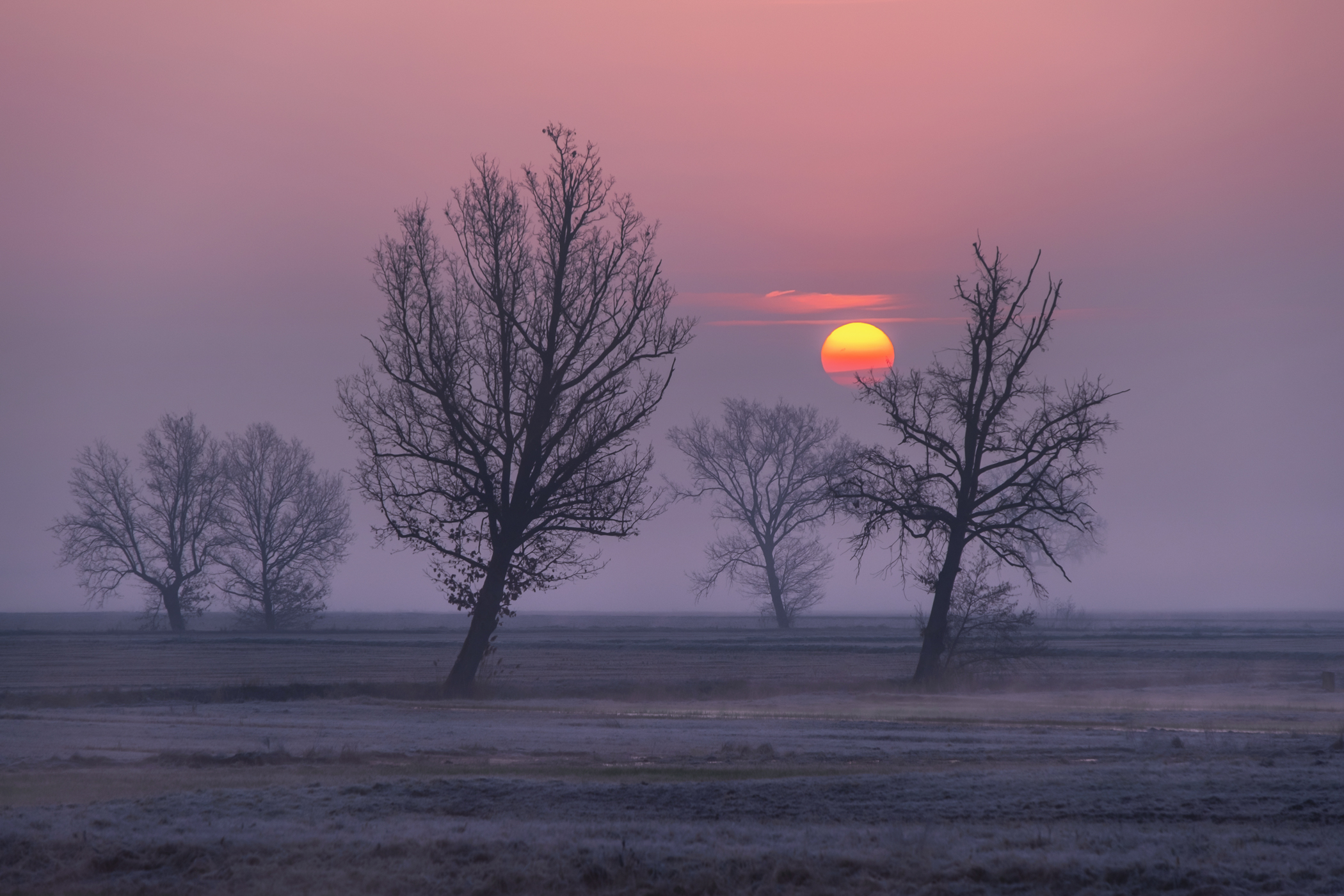 L'alba di un nuovo giorno