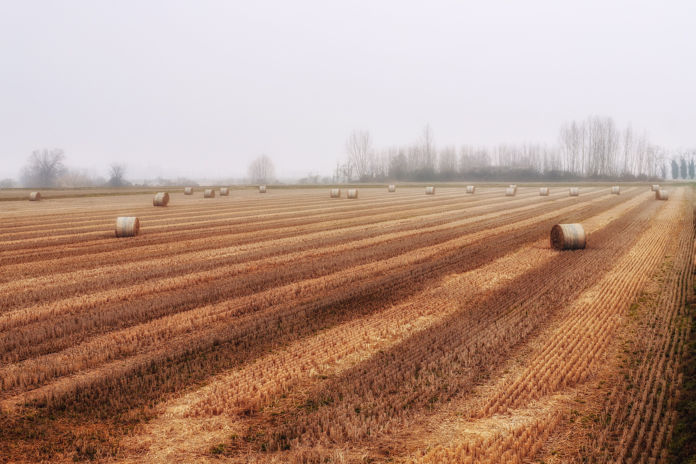 Stubble, fog and bales