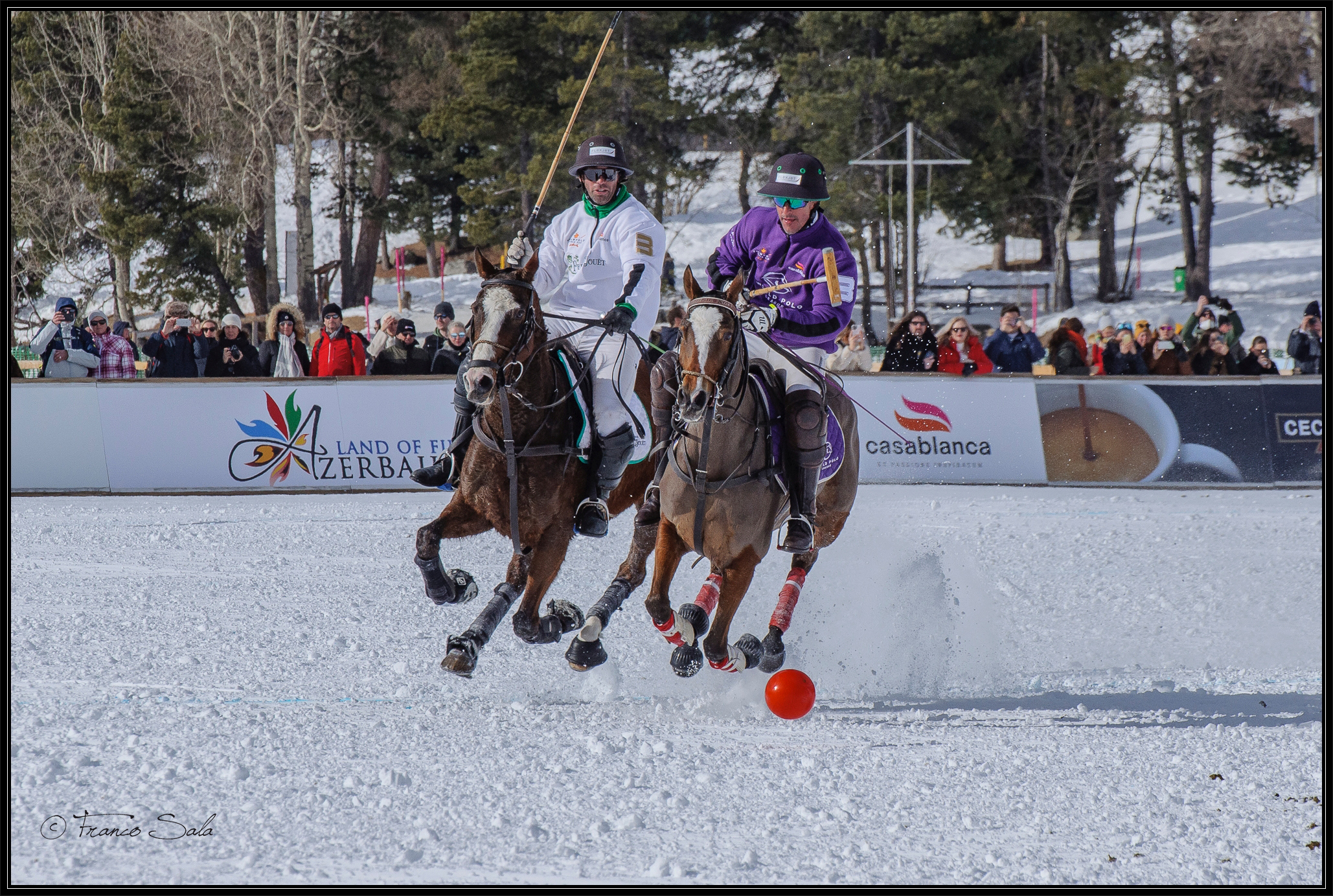 Snowpolo 2022