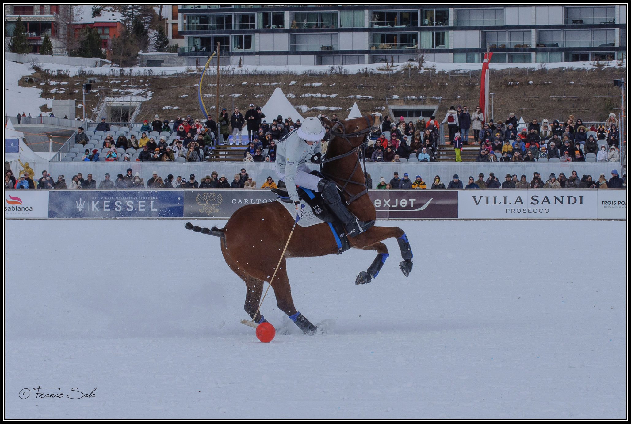 Snowpolo 2022