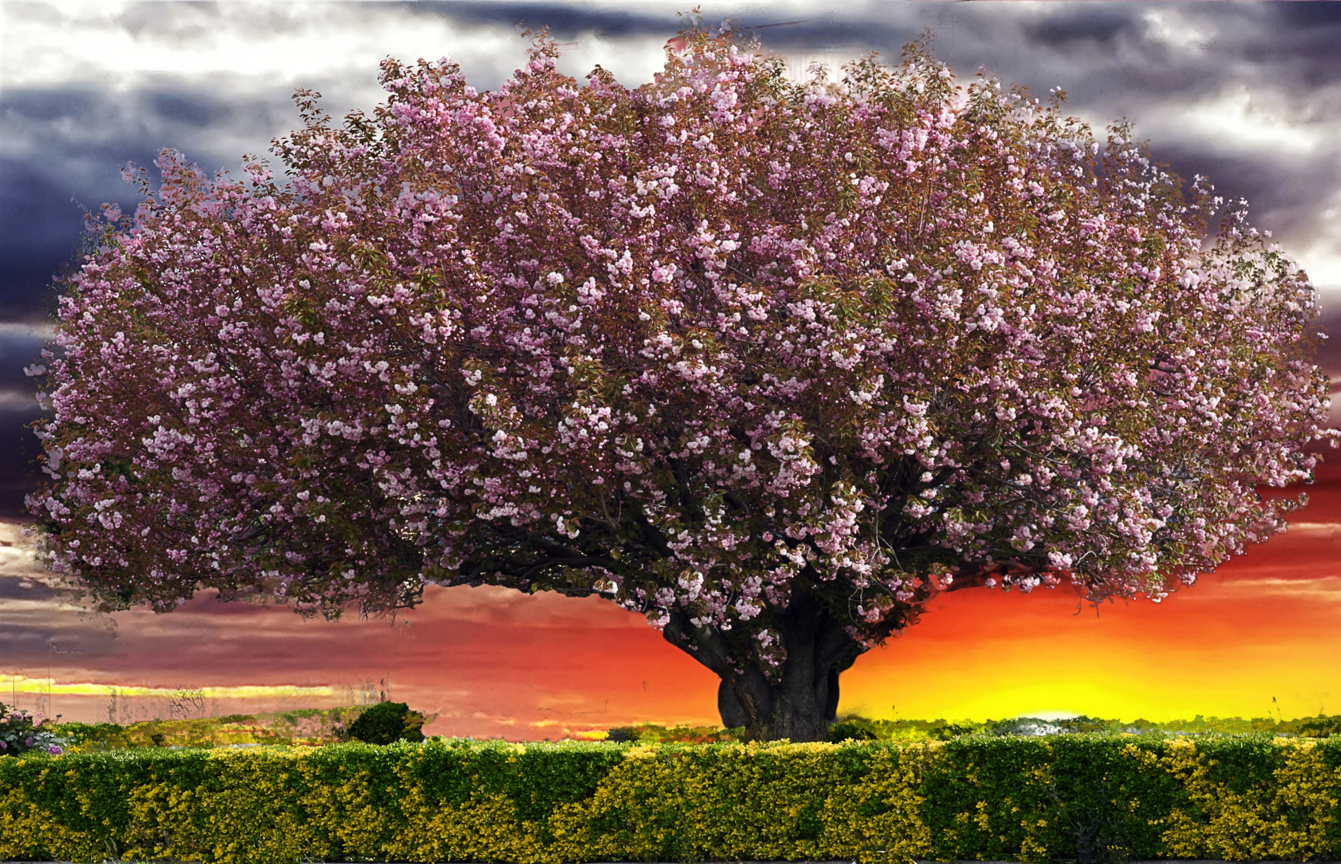 albero allegoria della primavera