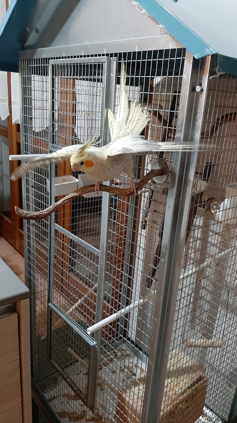 Posing chip 3