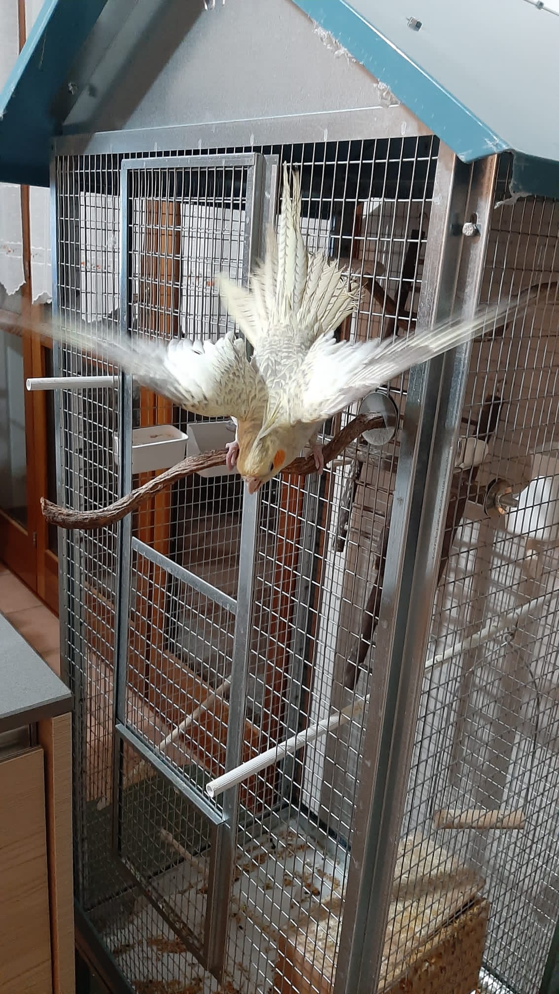 Posing chip 2