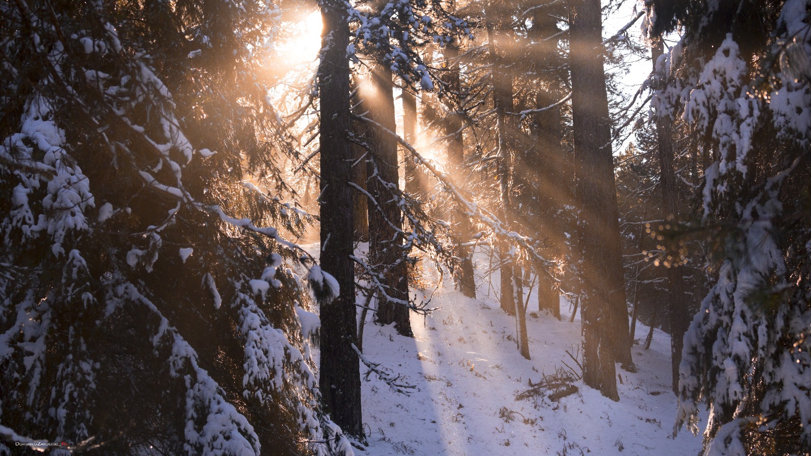Le prime ore del mattino*