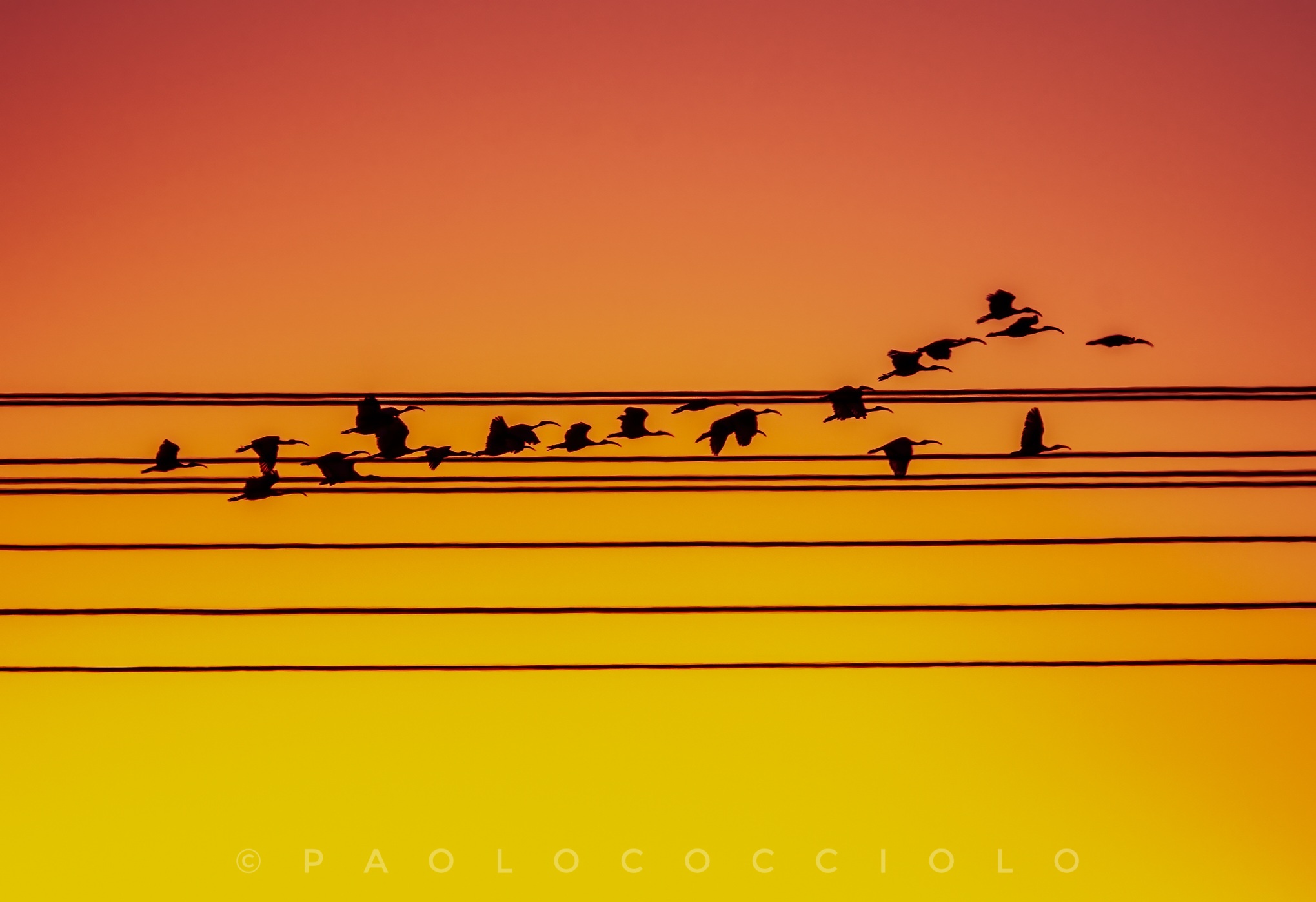 Sulle note di un tramonto