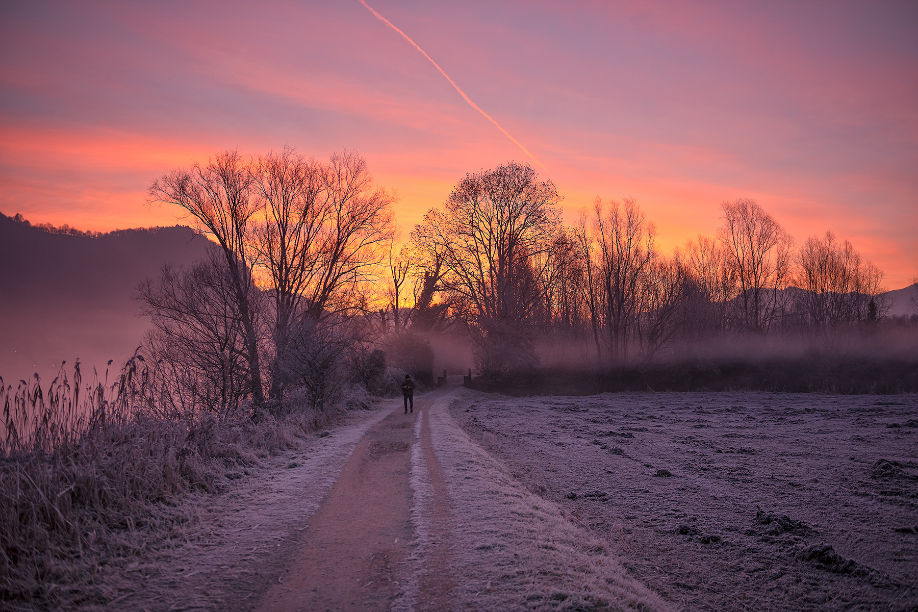Colors on the shoulders