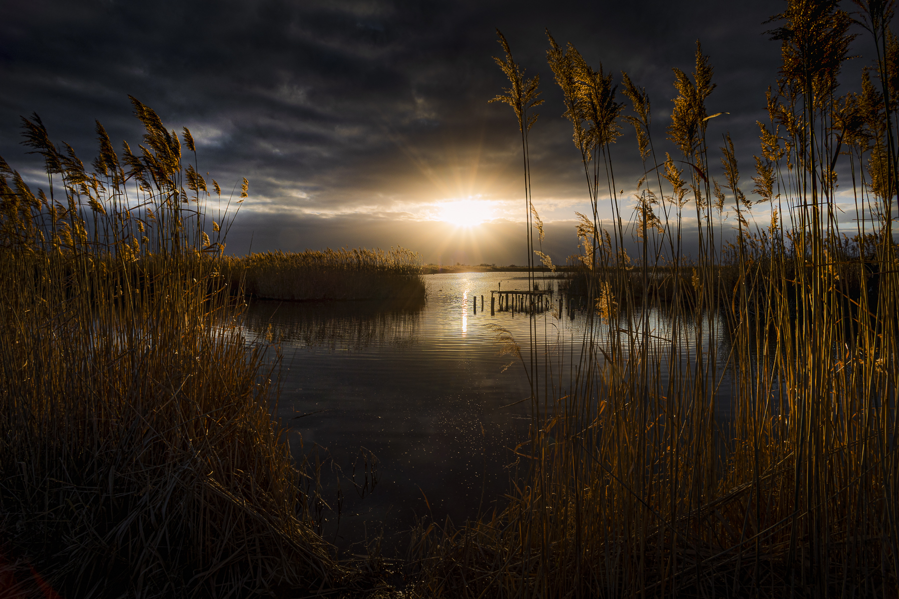 Oasi lipu Massaciuccoli