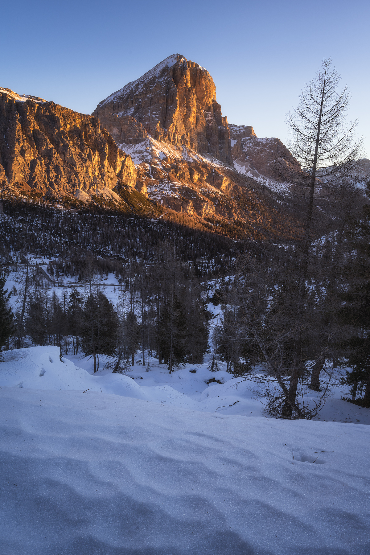 Tofana di Rozes