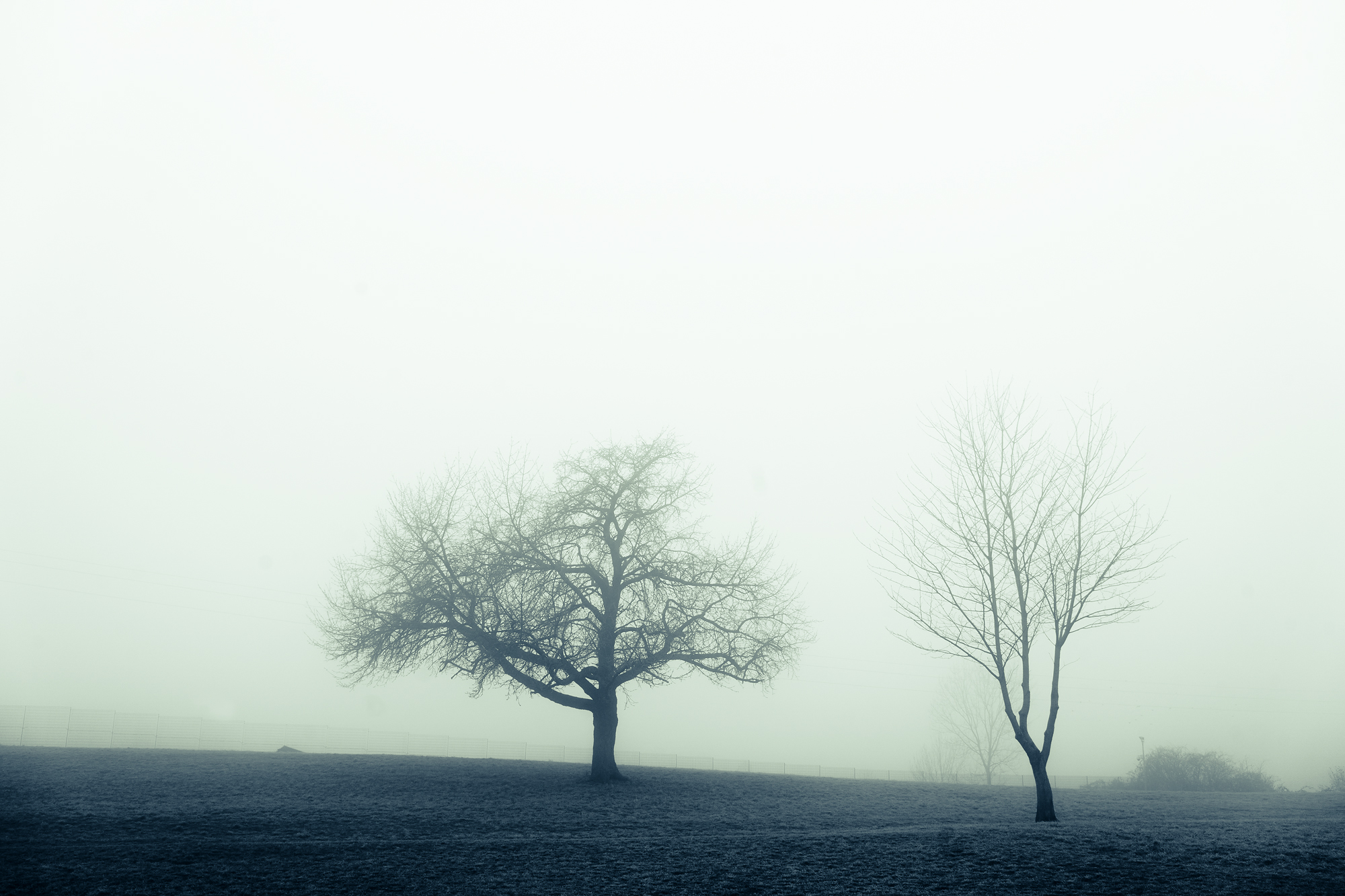 Alone in the fog