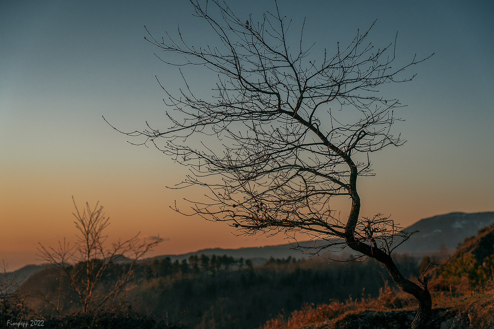 La forza di resistere