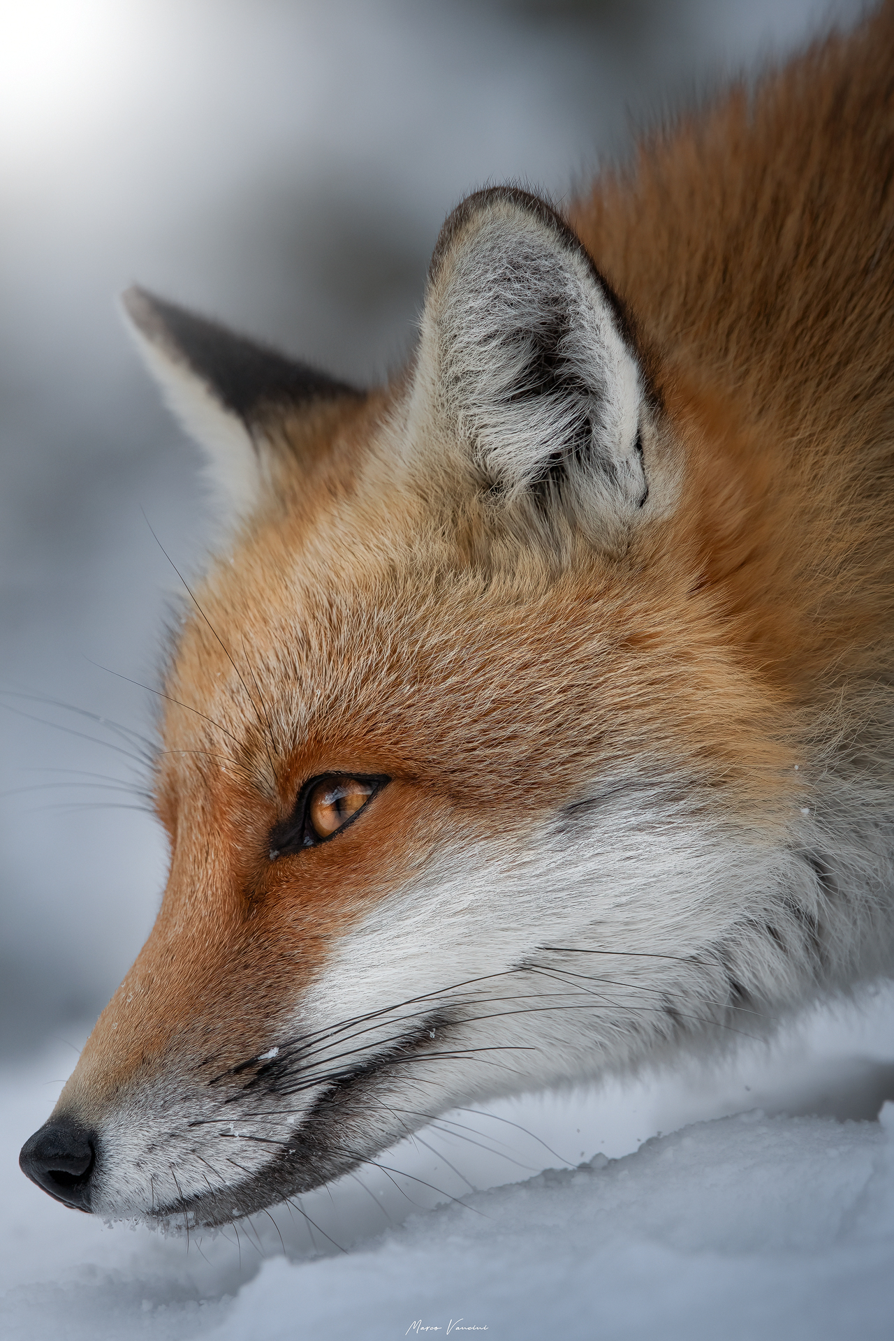 Uno sguardo meraviglioso