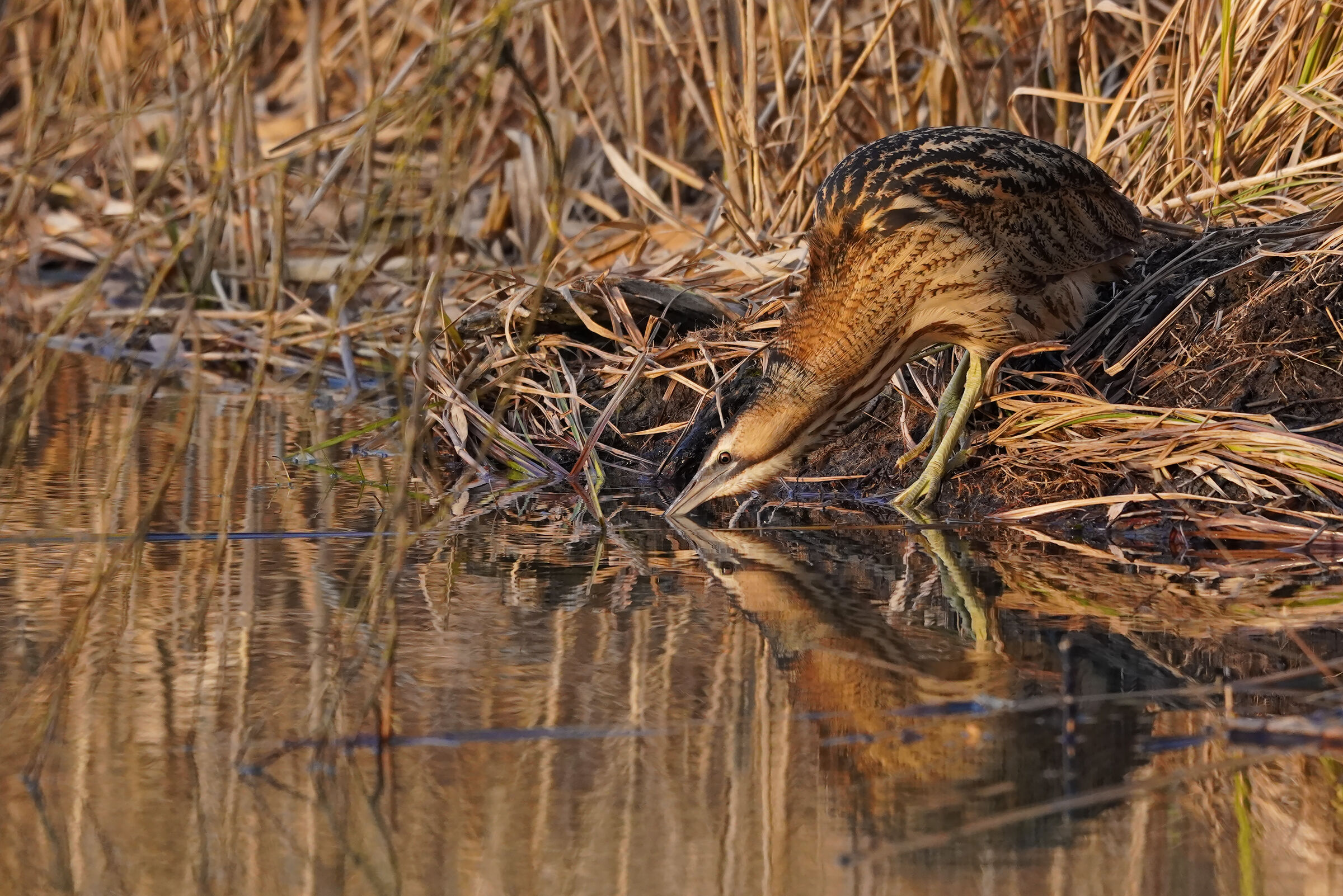 in sul far della sera...a pesca