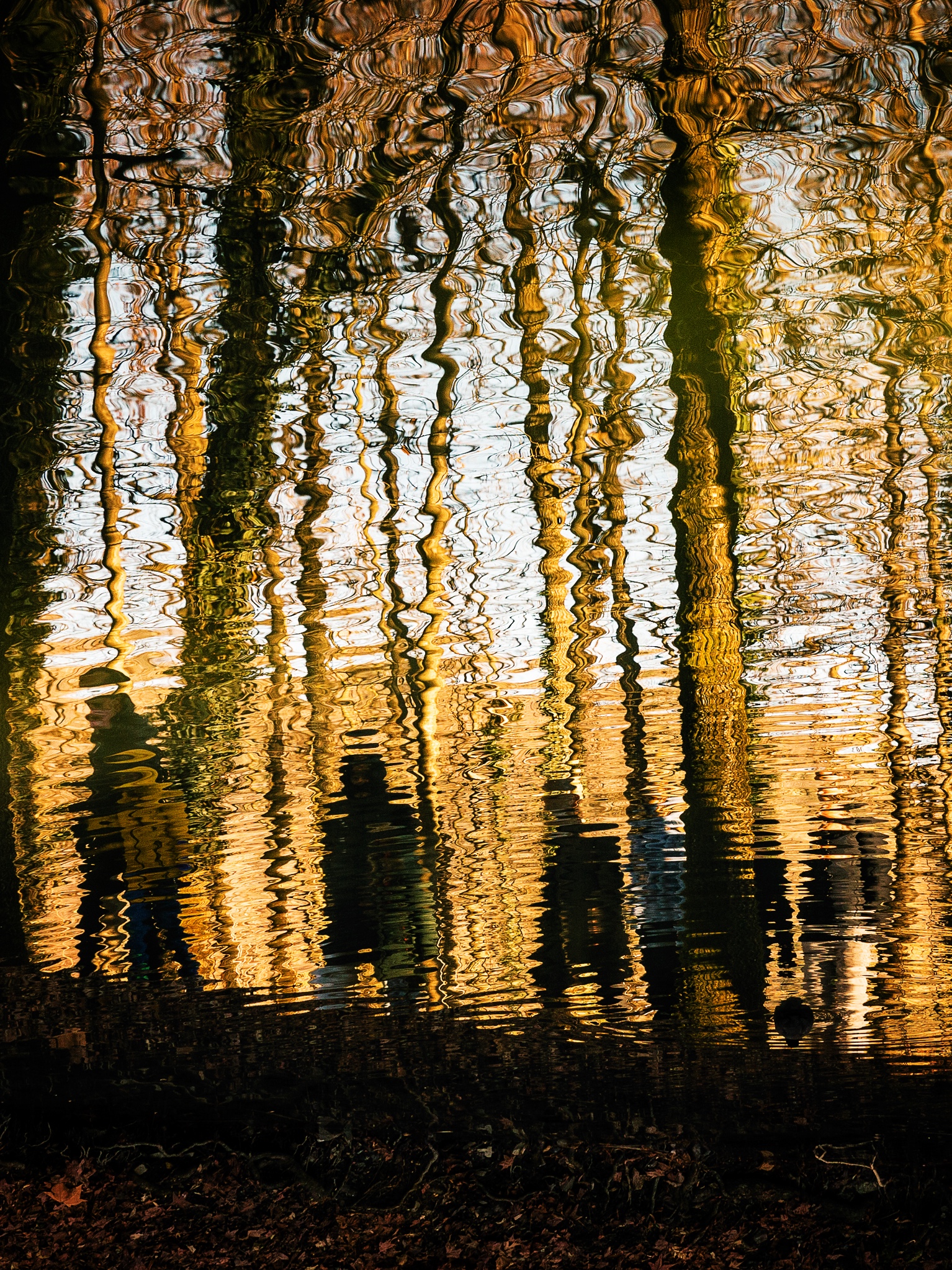 Pessimism and annoyance