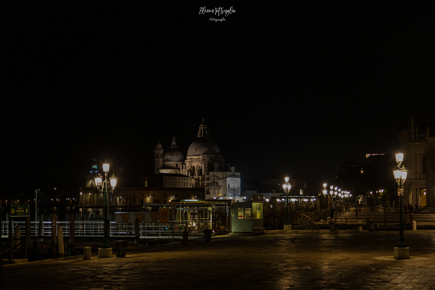 Santa Maria della Salute at night