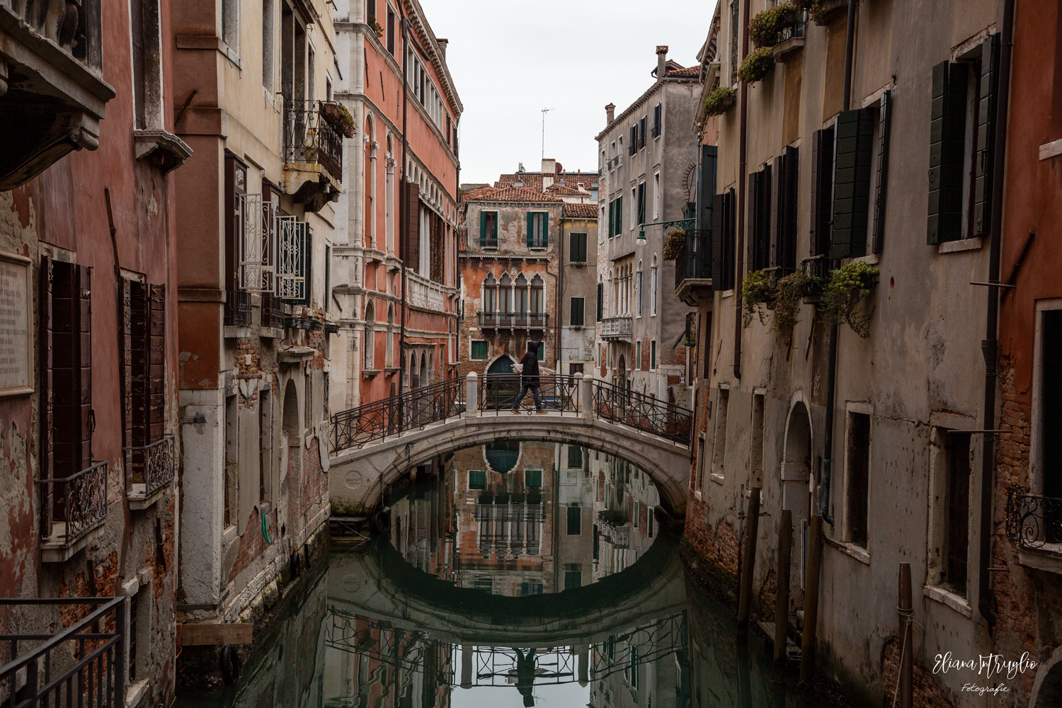 Venetian reflections
