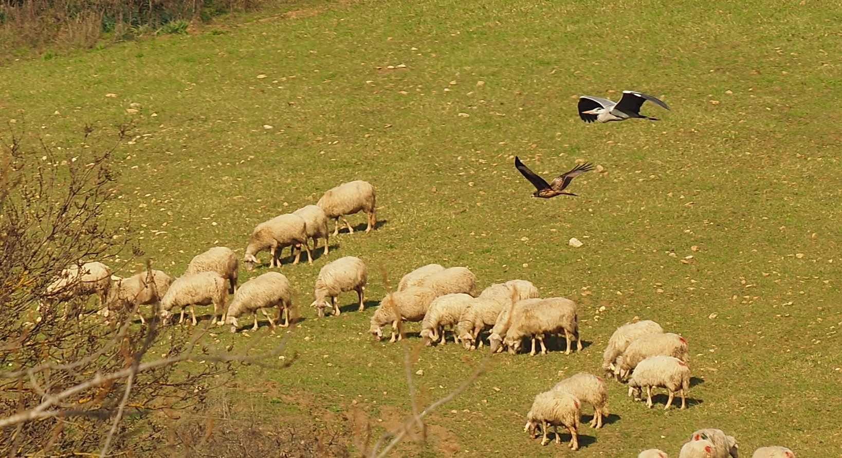 Unauthorized gathering!