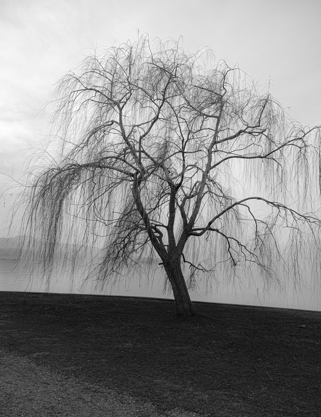 aspettando la primavera