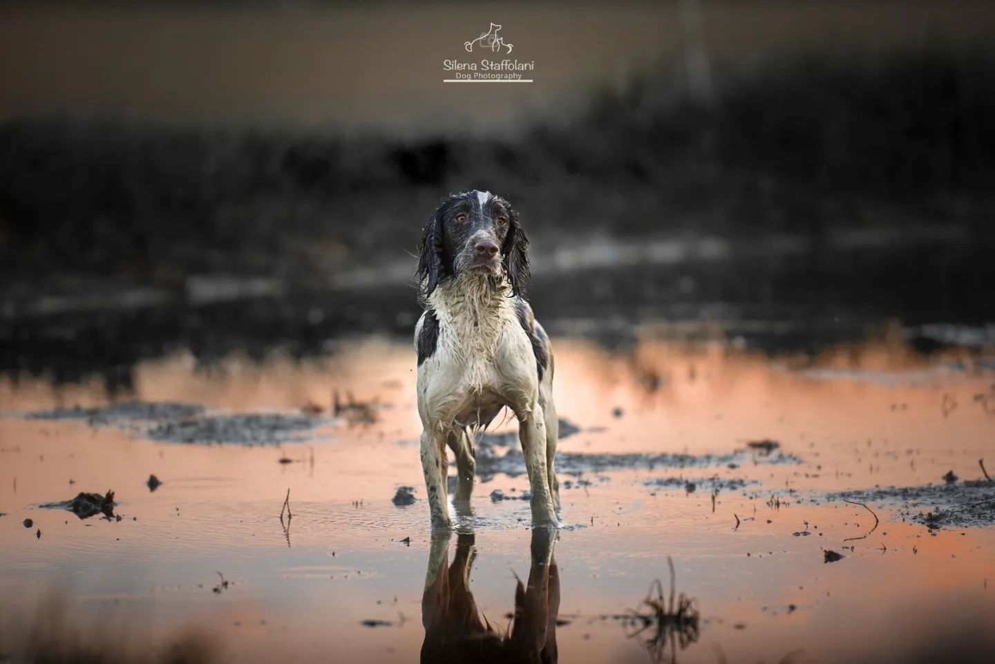 Specchio specchio delle mie brame.......