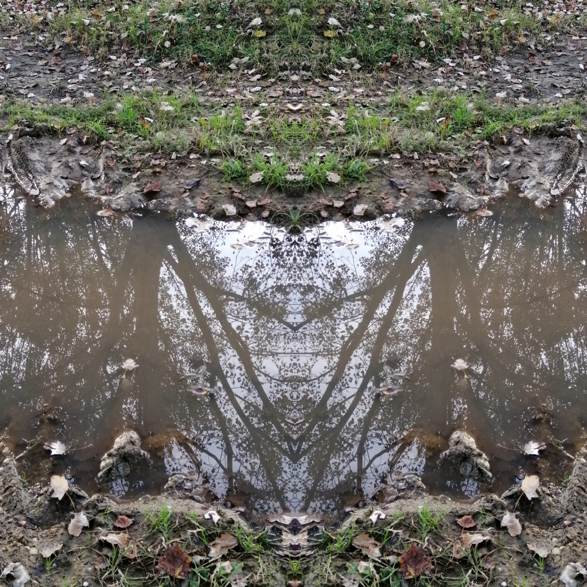 the reflection