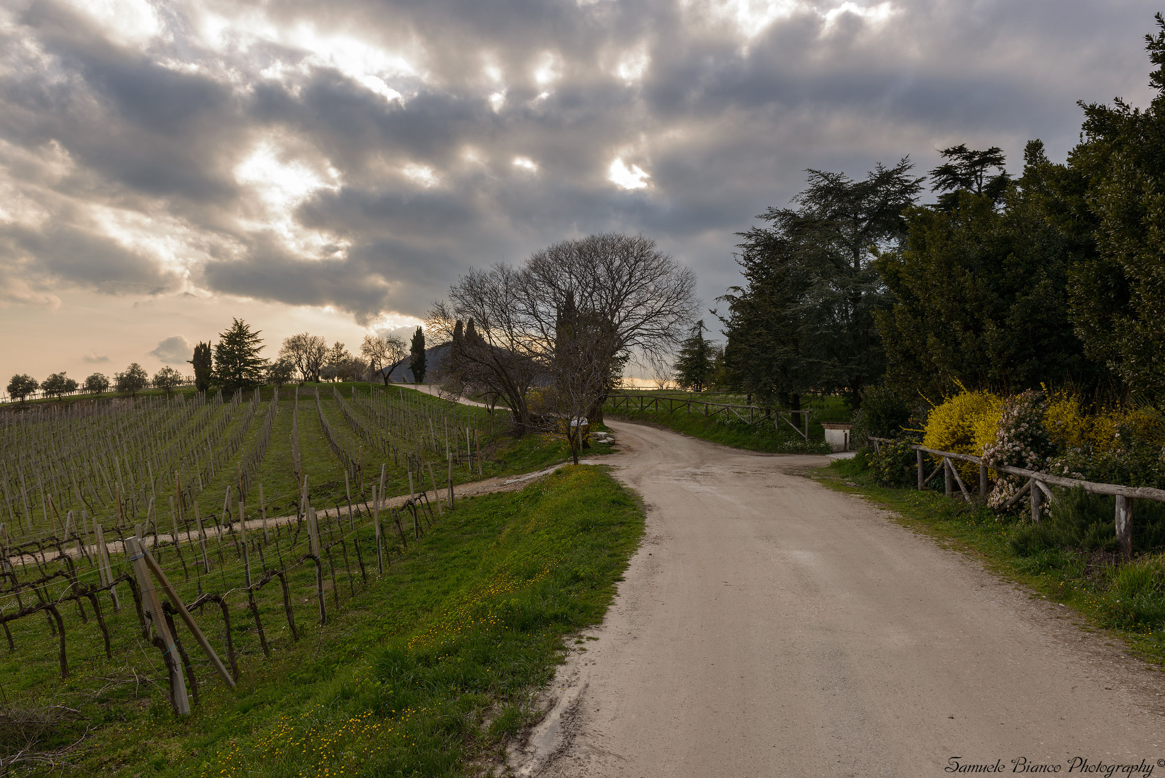Walking on the Monte Fasolo