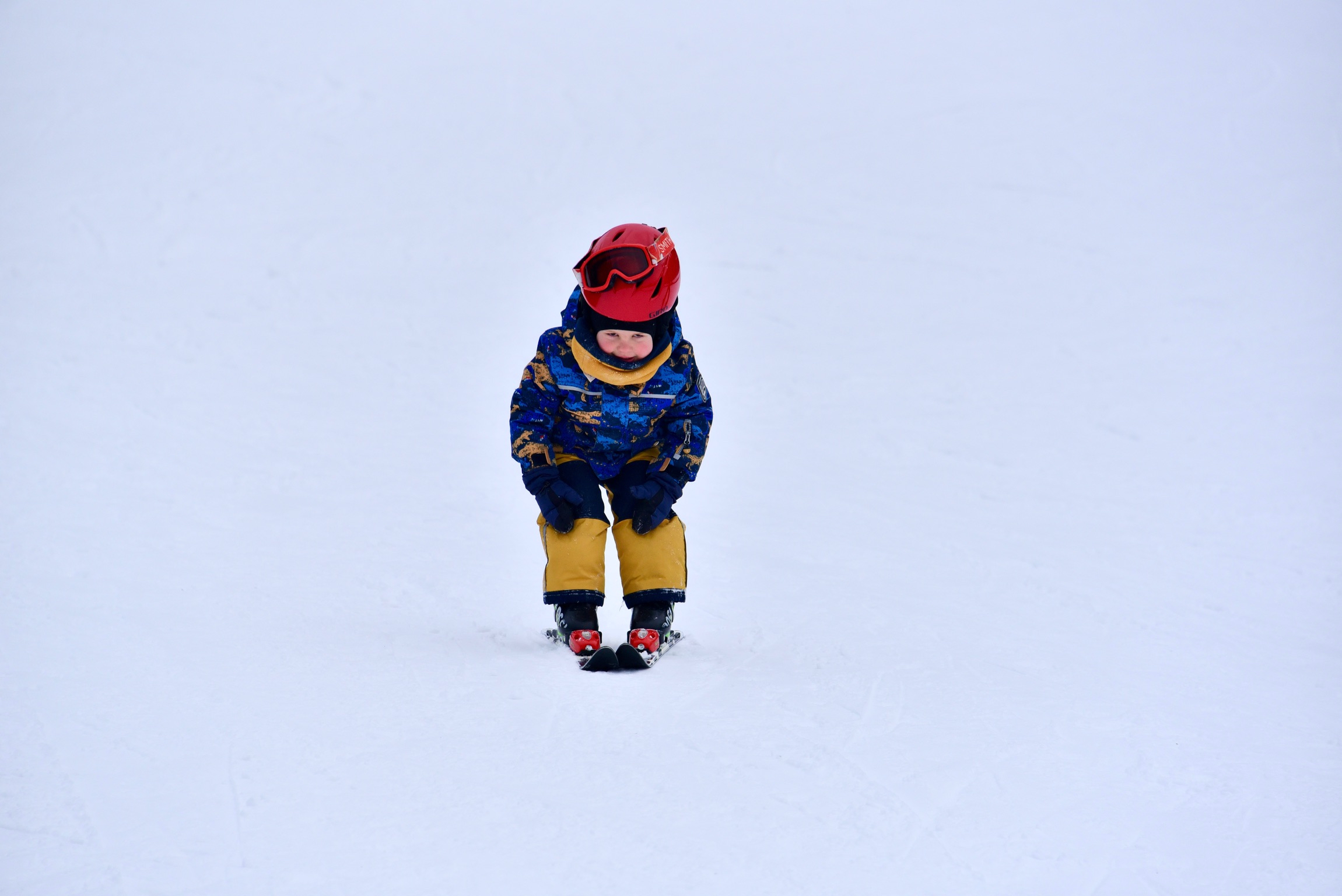 Ha tre (3) anni. Vuole diventare campione