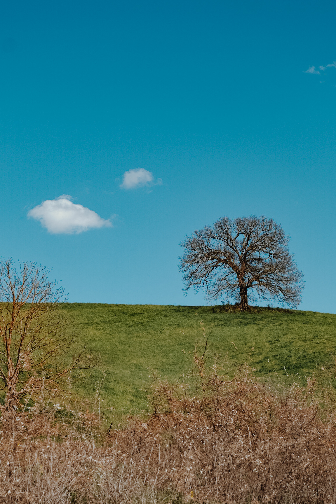 Solitary