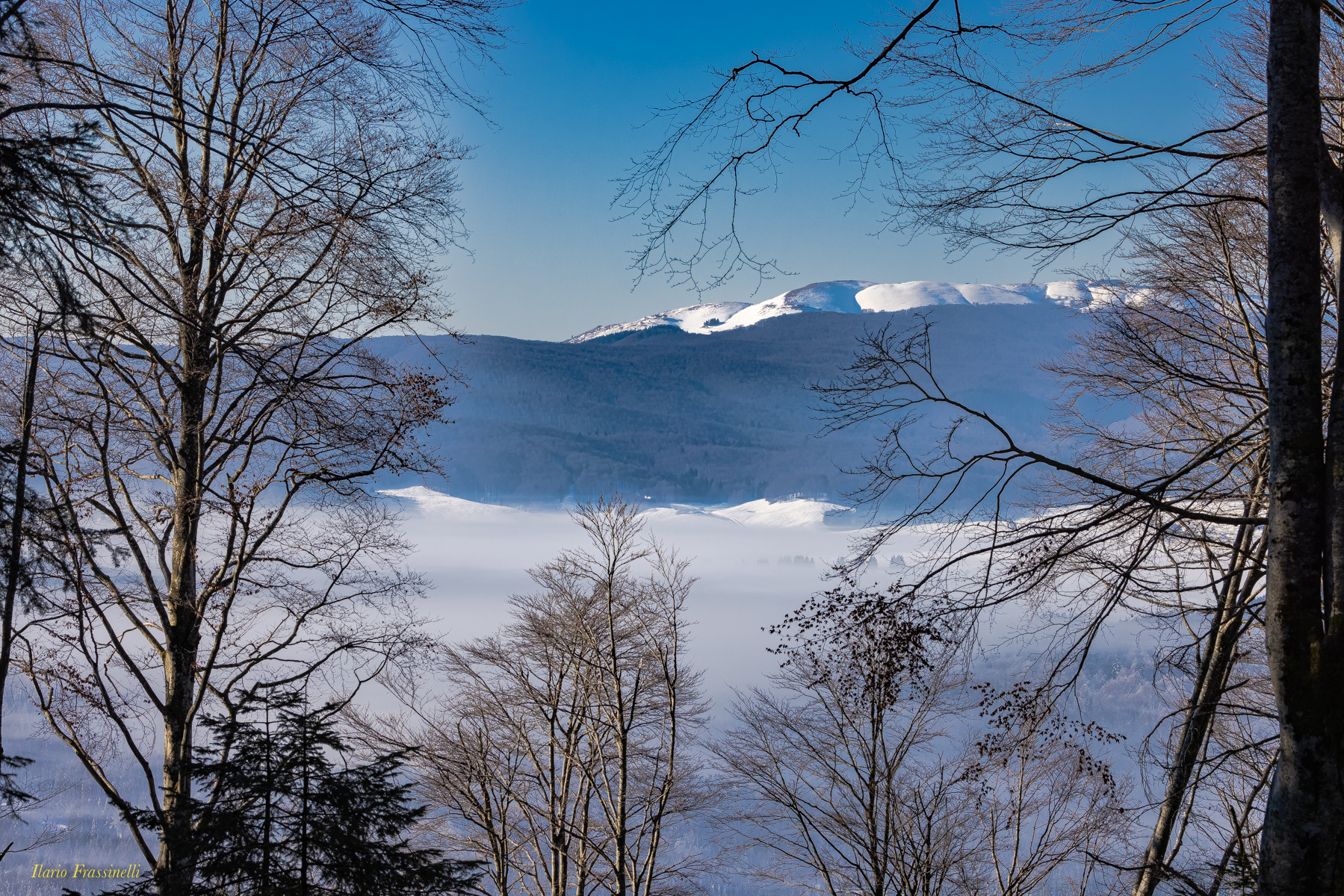 La piana del Cansiglio
