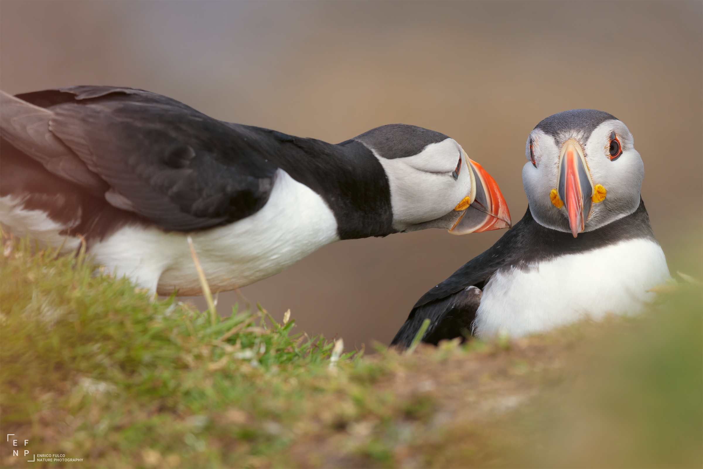 Let me take a closer look ...