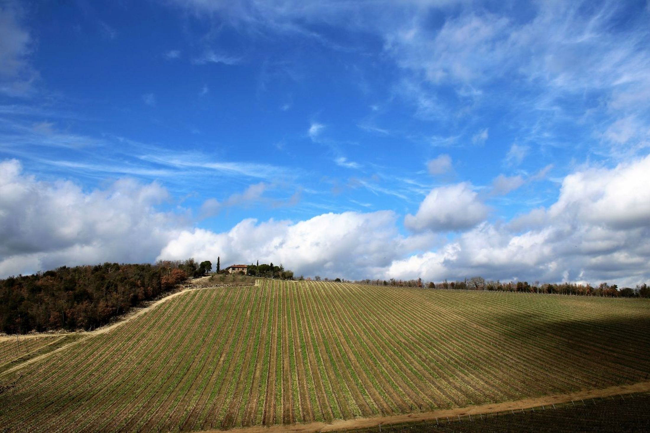 Colline del Chianti