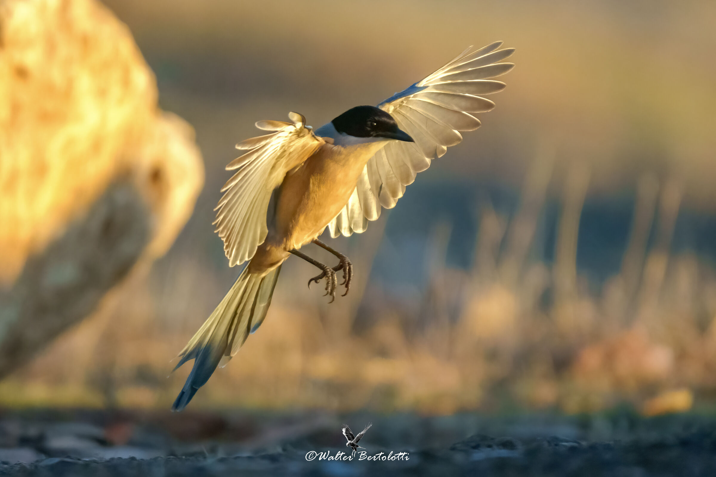 landing in bright light